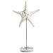 Cyan Design 09121 Asterina Sculpture