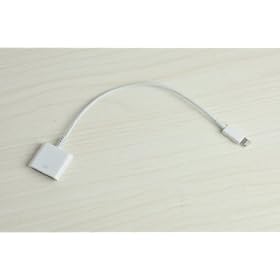 Nanotch iPhone 5, iPad Mini, Nano Lightning to 30-Pin Cable Adapter