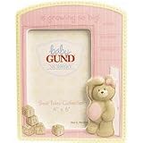 Bear Tales Birth Record writeable frame by GUND by 