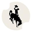University of Wyoming Carsters - Coasters for Your Car