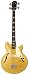 Epiphone Jack Casady Electric Bass Guitar, Metallic Gold