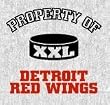 Blanket/Throw 58x48 Property of Detroit Red Wings - NHL Hockey Team Fan Shop