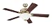 Westinghouse 72316 Silverdale Energy Star One-Light 52-Inch Five-Blade Ceiling Fan, Polished Brass with Frosted Glass Globe
