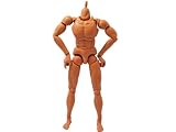 1/6 スケール アクションフィギュア ボディ 素体 男性イメージ