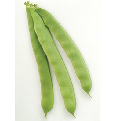 David's Garden Seeds Bean Pole Garden of Eden D2376.A (Green) 50 Organic Heirloom Seeds David's Garden Seeds Bean Pole Garden of Eden D2376.A (Green) 50 Organic Heirloom Seeds