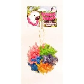 Prevue Pet Products Tropical Teasers Kursty Jr. Bird Toy by Prevue