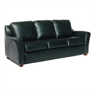 Distinction Leather 923 Series Edwardo Leather Sleeper Sofa