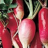 Organic French Breakfast Garden Radish - 100 Seeds - B001ESJ13E