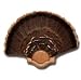 Premium Turkey Tail Mount Kit - Short
