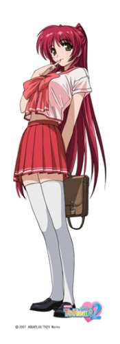 ミニミニ枕「OVA To Heart2」向坂環