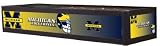 Michigan Wolverines Executive Billiard Table Light