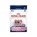 Details About Royal Canin Maxi Breed Baby Dog (30)