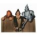 Wizard of Oz Courage Brains & Heart Die-Cut Photographic Magnet