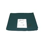 Fiesta Solid Evergreen Napkin by Fiesta