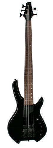 LightWave Saber Bass SL 5-String Fretless UltraBlack
