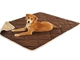 Dog Gone Smart dog throw Dog Gone Smart dog throw