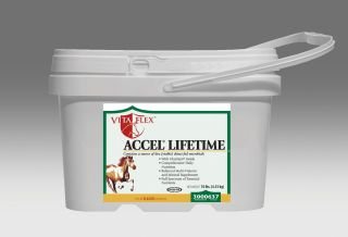 Vita Flex ACCEL Lifetime