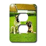 Dogs Mastiff - Mastiff - Light Switch Covers - 2 plug outlet cover