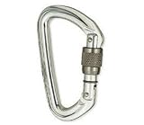 Black Diamond Quicksilver2 Screwgate Carabiner