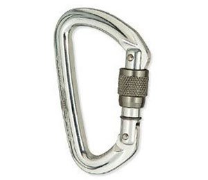 Black Diamond Quicksilver2 Screwgate Carabiner