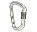Sporting Goods : Black Diamond Quicksilver2 Screwgate Carabiner