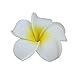 DreamLily Women's Fashion 3 Pcs Hawaiian White Plumeria Flower Foam Hair Clip Balaclavas for Beach