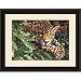 Dimensions Paint By Number Kit - Leopard in Repose (14x20