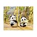 Calico Critters Wilder Panda Bear Twins