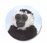 Plush Hanging Colobus Monkey 12"