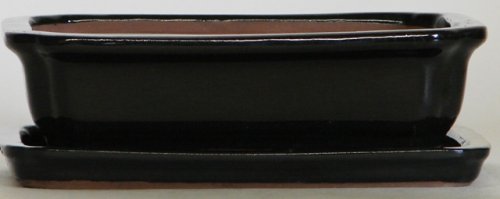 BuyBonsai's Bonsai Pot 8 Rectangle Black with Tray