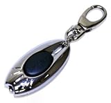 Sporting Goods : Metal LED Key Chain Energizer Eveready Flashlight with Carabiner