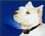 DER HUND BELLT? Multivet ANTI BELL- fr alle Rassen NEU