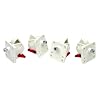 Emmay Care  Safety Whatlock 4 Locks