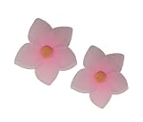 Nylon Wall Decor Flowers (Set of 2)