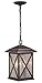 9 in. Outdoor Pendant in Rust Iron