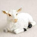 Goat White Tiny One