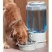 Pet Waterer-Holds 5 Gallons of Water (Light Grey) (10.5H x 26W x 10.5D)