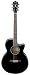 Ibanez AEG10E Cutaway Acoustic-Electric Guitar (Gloss Black)