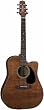 Takamine EF340SCGN Dreadnought C/A Acoustic Electric Guitar w/Case