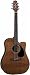 Takamine EF340SCGN Dreadnought C/A Acoustic Electric Guitar w/Case