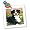 Appenzeller Mountain Dog - 10x10 Quilt Square