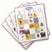 Baby Bingo Deluxe - 40 Card Set
