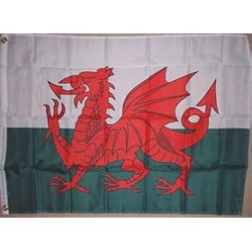 WALES FLAG WELSH FLAG 5X3 FT 153CM X 92CM