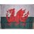 WALES FLAG WELSH FLAG 5X3 FT 153CM X 92CM