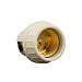 Leviton 8875 Medium Base, One-Piece, Keyless, Incandescent, Unglazed Porcelain Lampholder, Front Mount, Single Circuit, Back Wired, Shallow Back, White