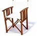 Kitchen & Housewares : Safari Canvas Arm Chair