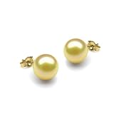 14K Yellow Gold 7-7.5mm Golden Akoya Cultured Pearl Stud Earrings