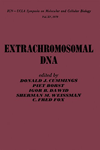 Extrachromosomal DNA (ICN-UCLA symposia on molecular and cellular biology)