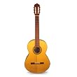 Paax Muul First Class Guitar Izalco