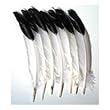 Imitation Eagle Feathers - Pack of 12